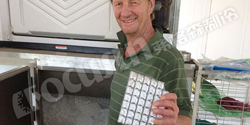 5 plate ice machine+cube ice machine-1