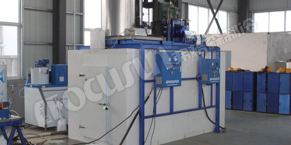 5 tons flake ice machine with 5 tons ice bin--Tunisia-1