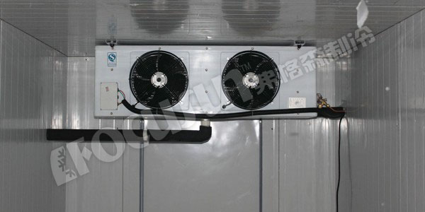 5 tons flake ice machine with 5 tons ice bin--Tunisia-2