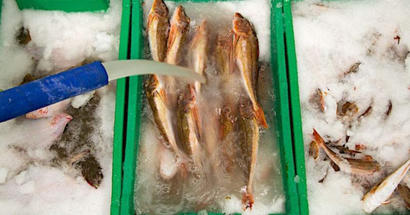 Slurry-Ice-Machine-1